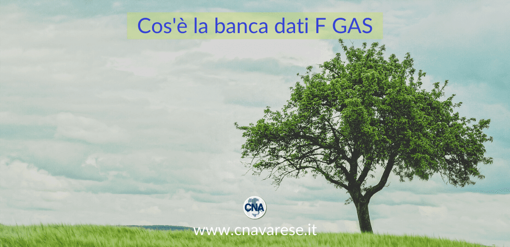 Cos'è la banca dati F GAS