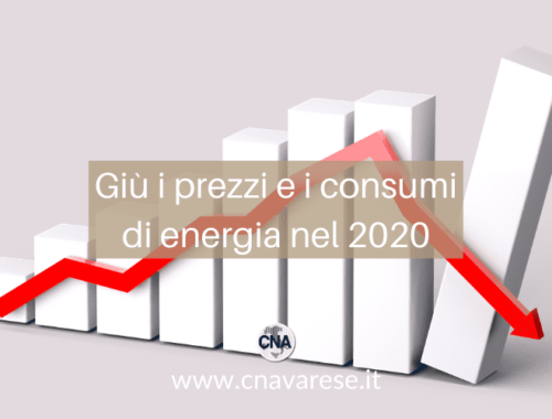 consumi energia 2020